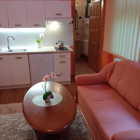 Апартаменти Lesny Dwor Длуґополе-Здруй Екстер'єр фото
